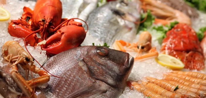 Image result for A Guide to Buying Frozen Fish and Seafood Online